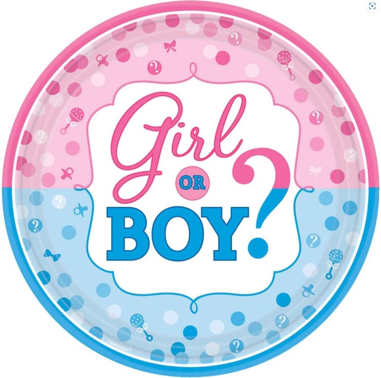 Baby Shower / Gender Reveal